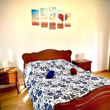 L Indemodable Renove Spacieux Et Lumineux Avec 2 Chambres Sarrebourg Ngoại thất bức ảnh