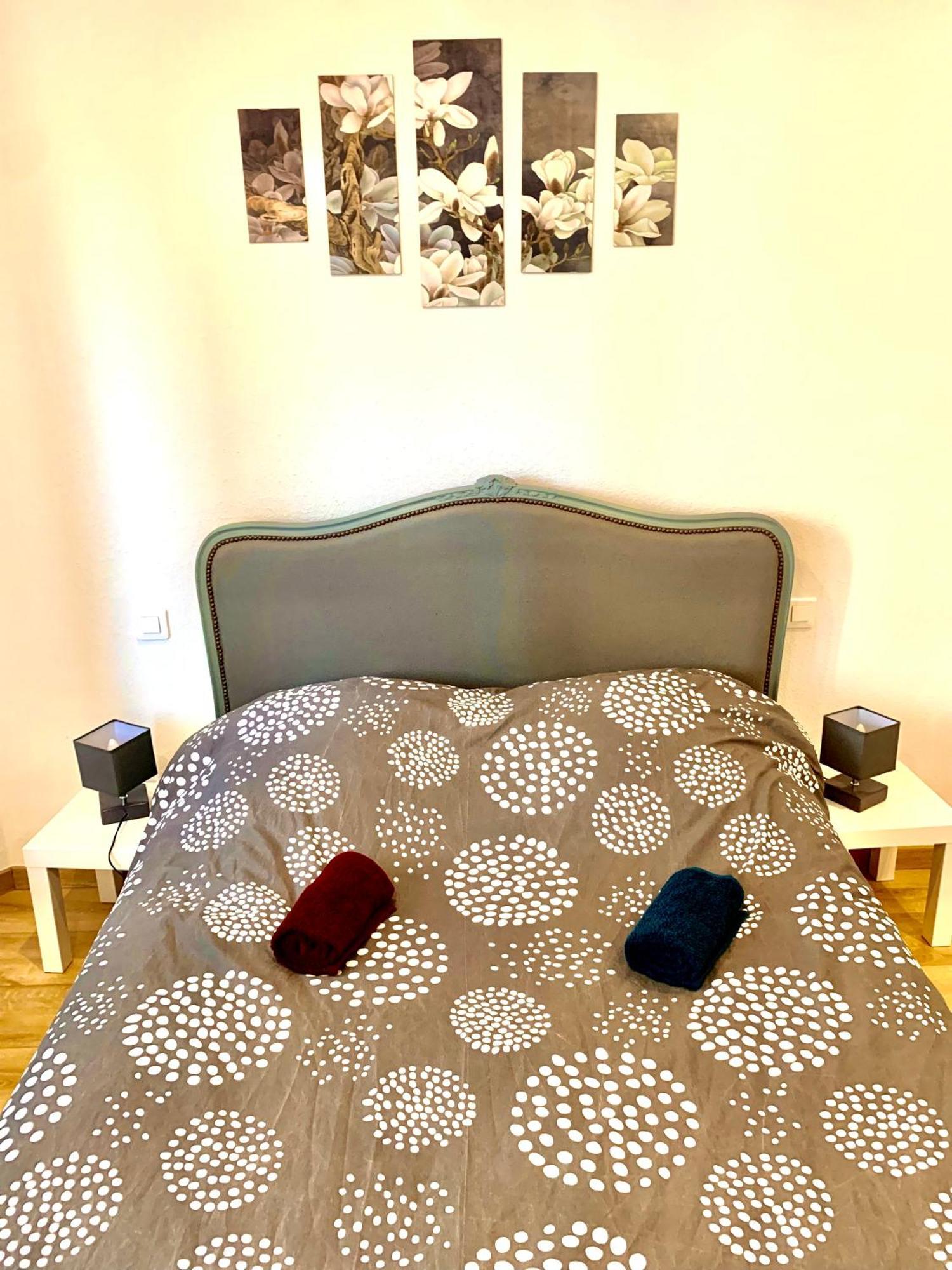 L Indemodable Renove Spacieux Et Lumineux Avec 2 Chambres Sarrebourg Ngoại thất bức ảnh