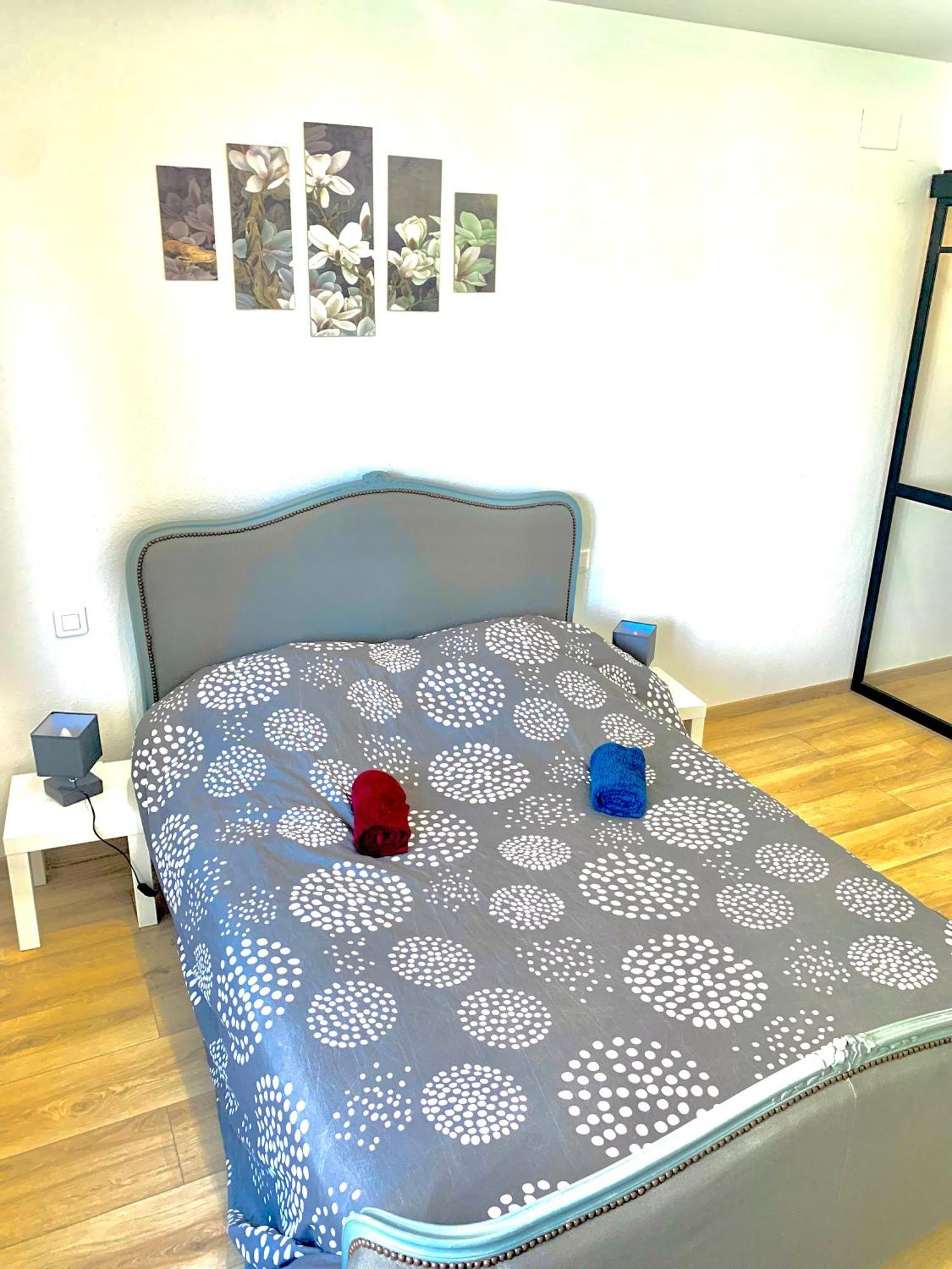 L Indemodable Renove Spacieux Et Lumineux Avec 2 Chambres Sarrebourg Ngoại thất bức ảnh