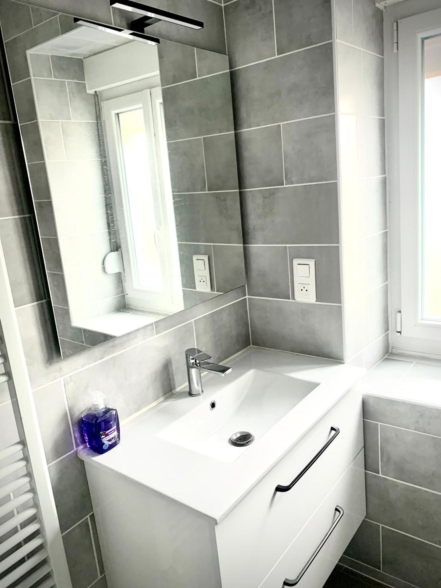 L Indemodable Renove Spacieux Et Lumineux Avec 2 Chambres Sarrebourg Ngoại thất bức ảnh